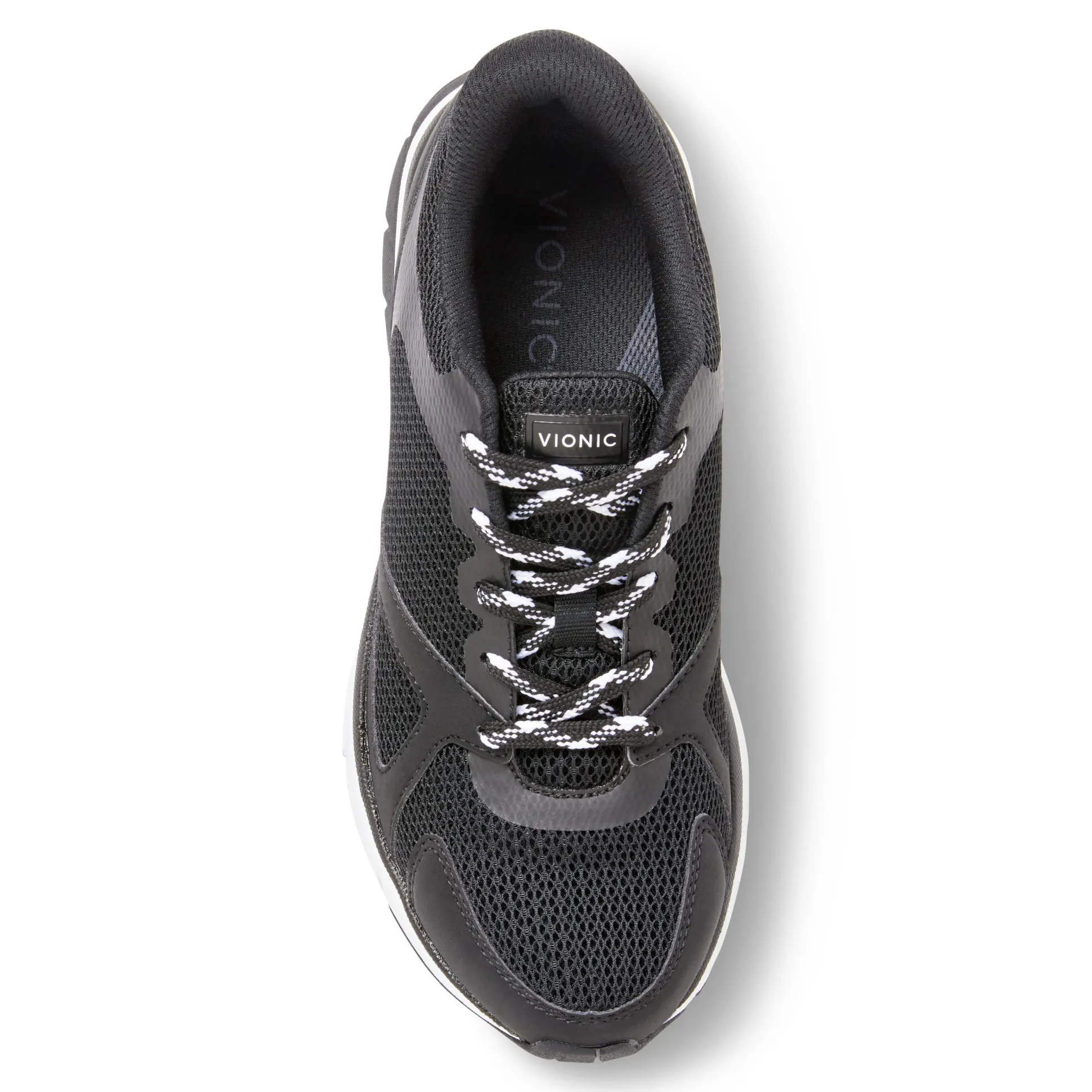 Tokyo Sneaker